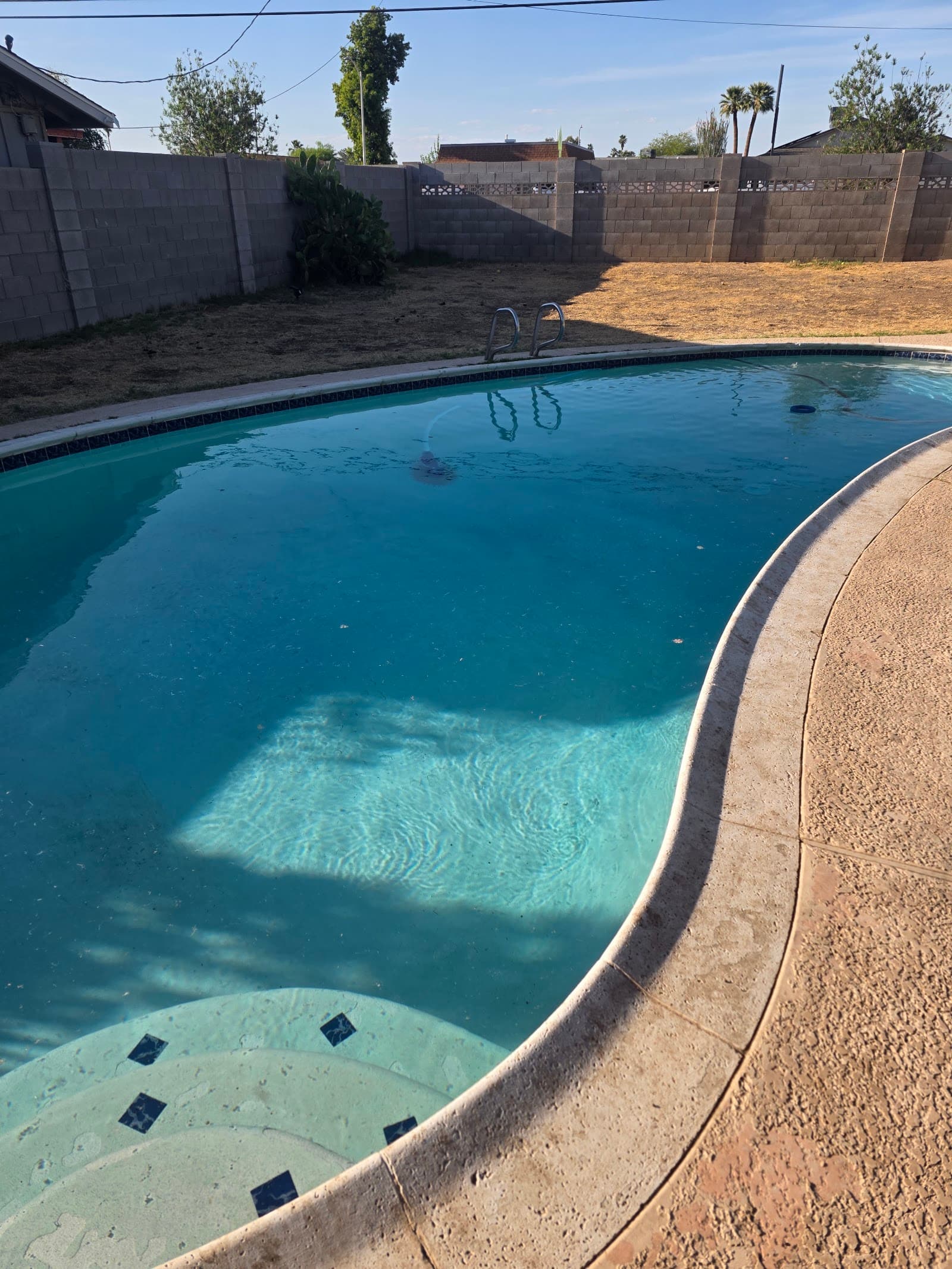 Weekly Pool Cleaning photo 2