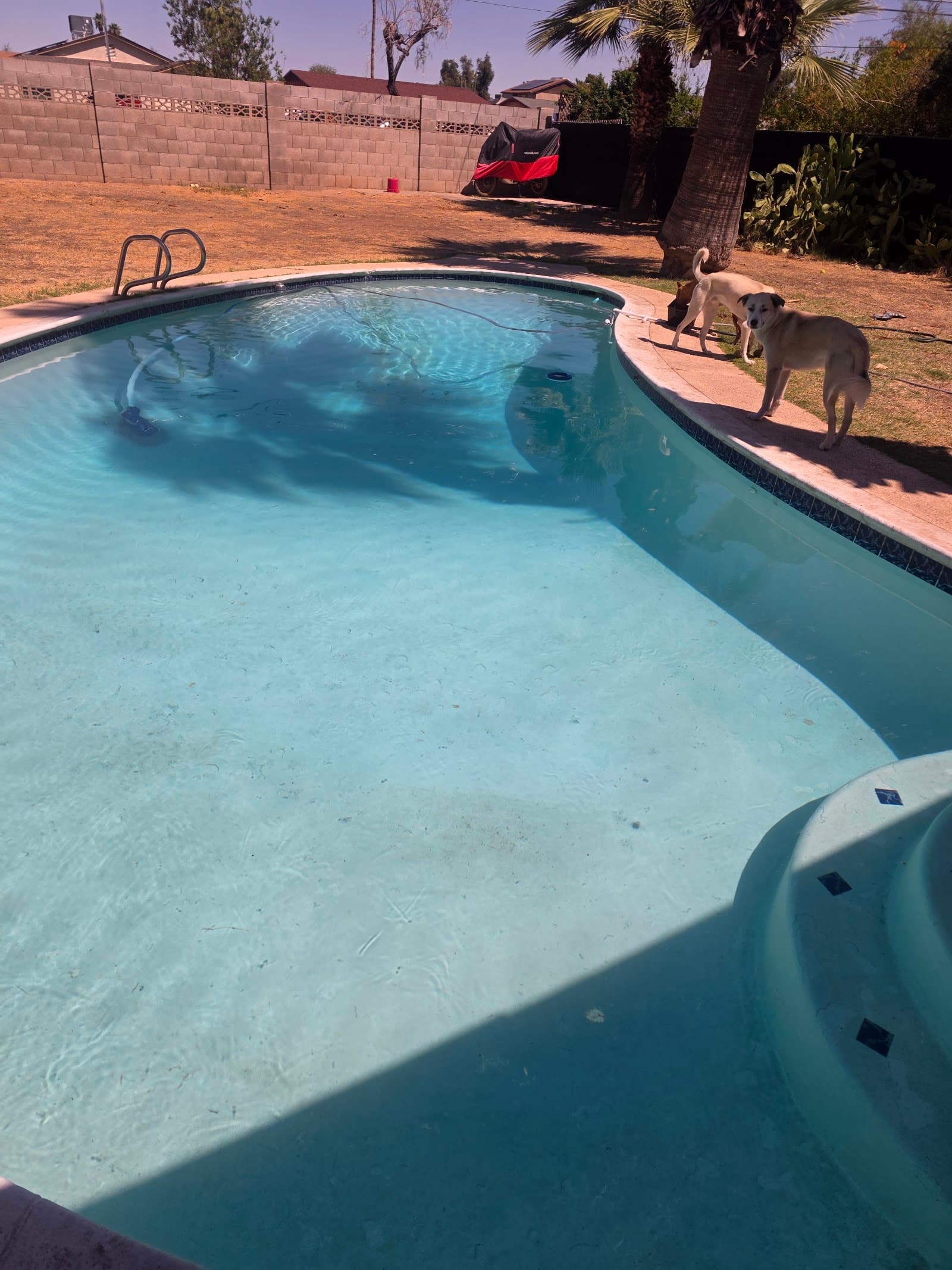 Weekly Pool Cleaning photo 1